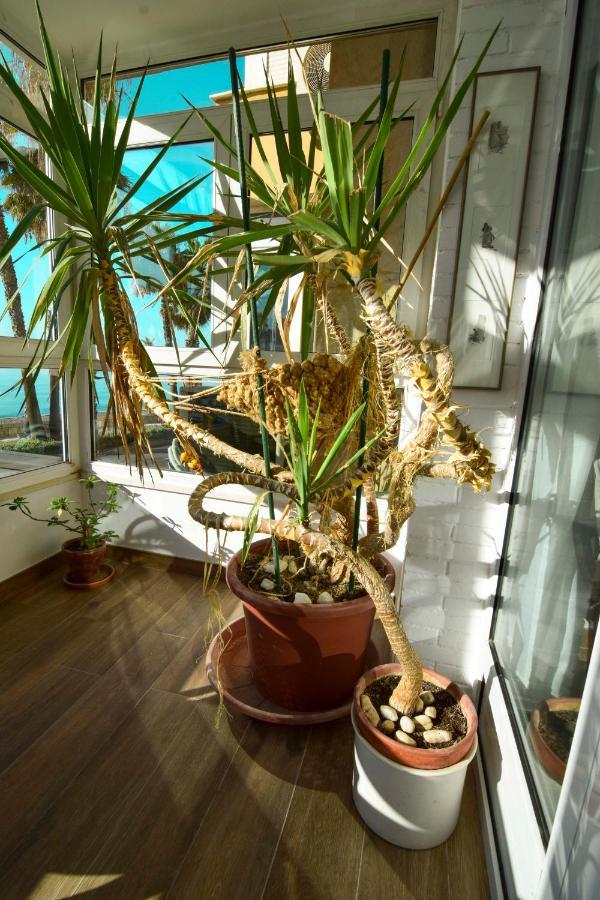 P&P Apartamentos Paseo Maritimo Pablo Ruiz Picasso Малага Екстериор снимка
